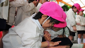 BL-20150421-01 (8).jpg